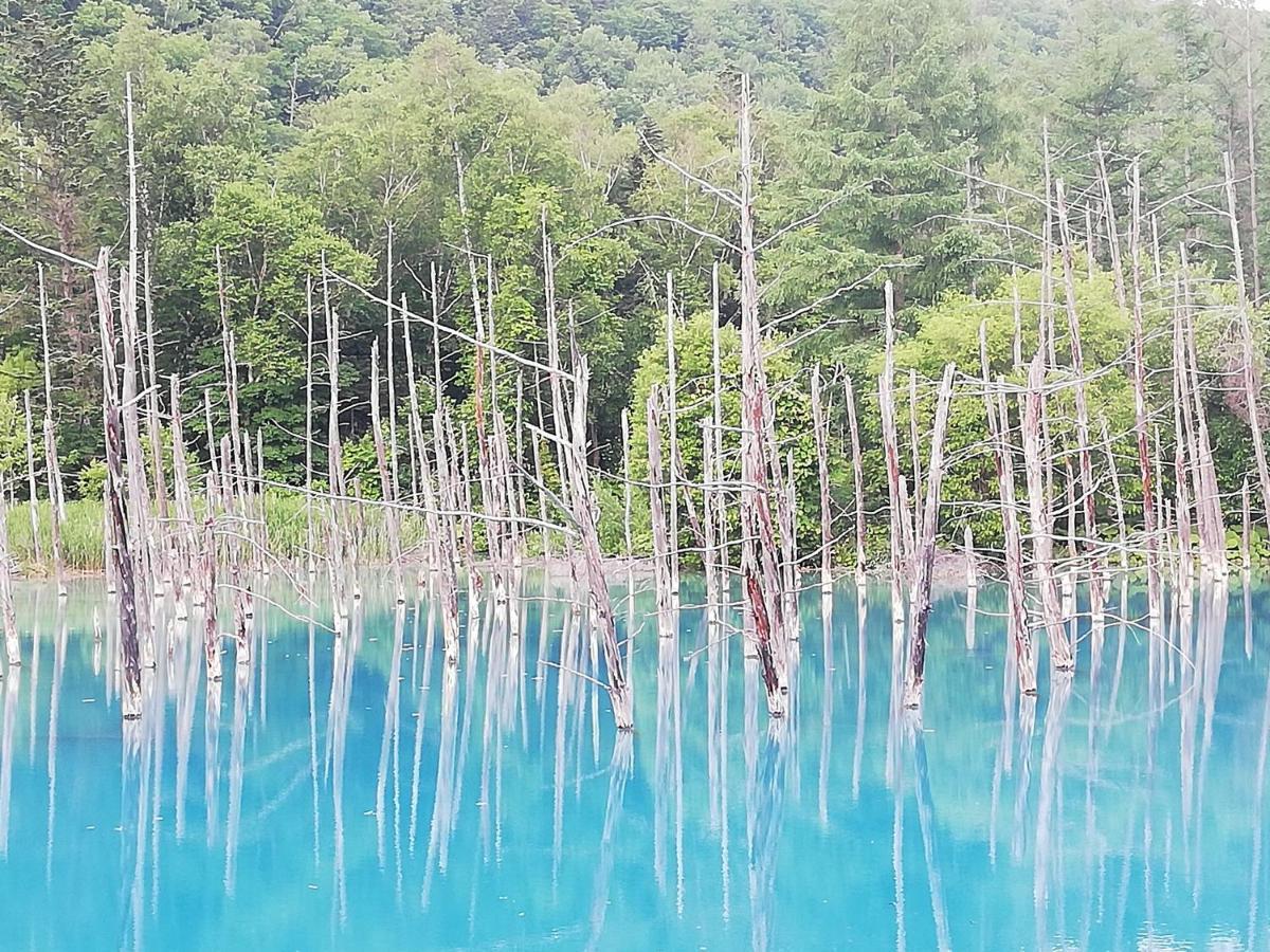 فندق هانافوجي إن Nakafurano المظهر الخارجي الصورة
